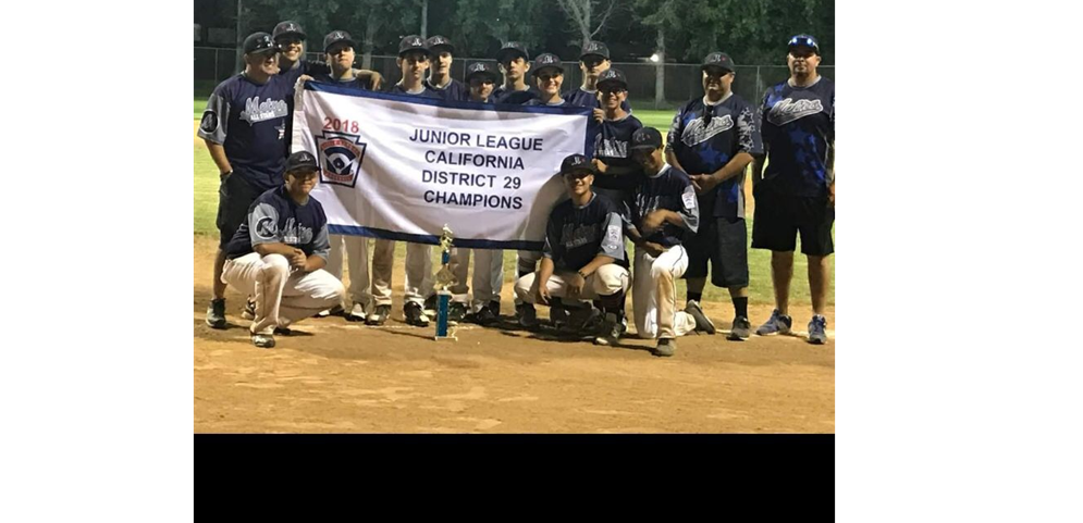 2018 Metro Juniors District 29 Champions